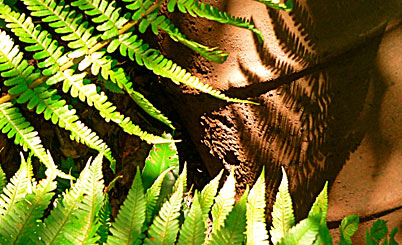 DDOS压力测试网页端